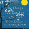 the think you can see only when slow down