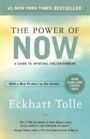 The Power of Now Book